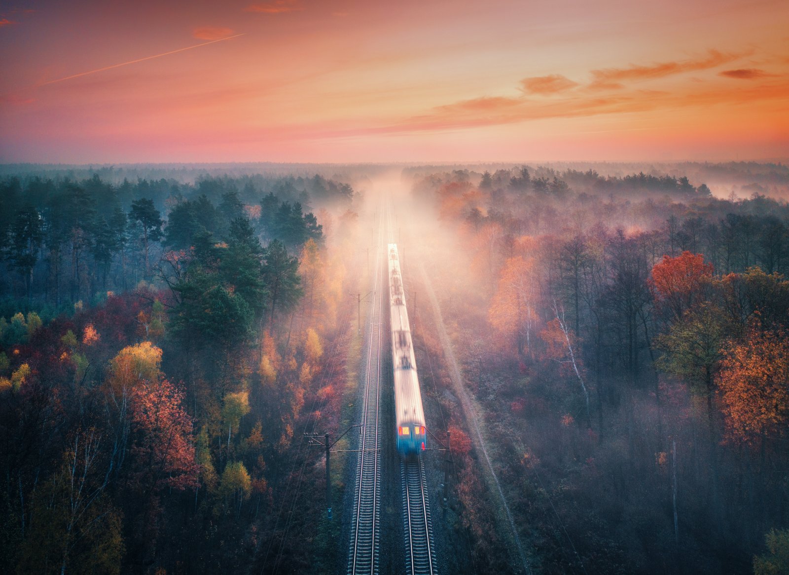 train